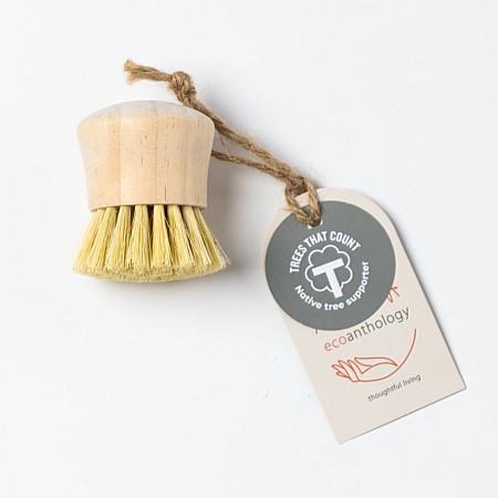  Ecoanthology Palm Dish Brush