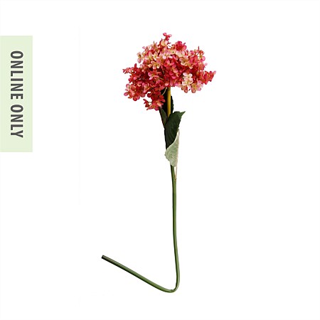 Everlasting Sole Hydrangea Long Stem Pink