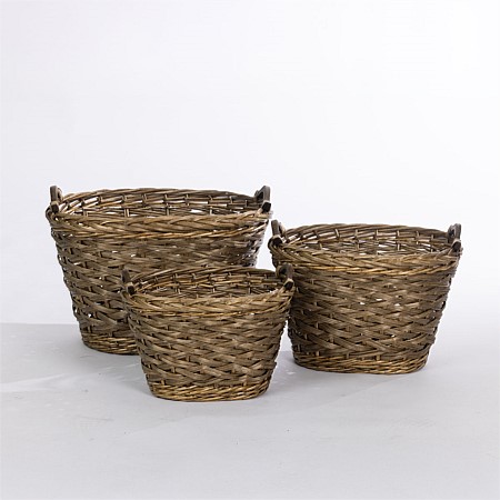 Cove Ellyn Basket 