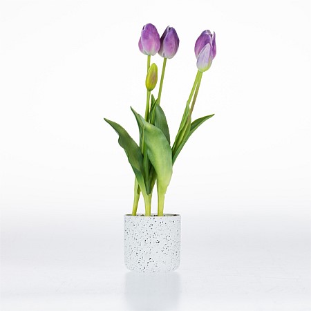 Design Plus Potted Lilac Tulips 40cm